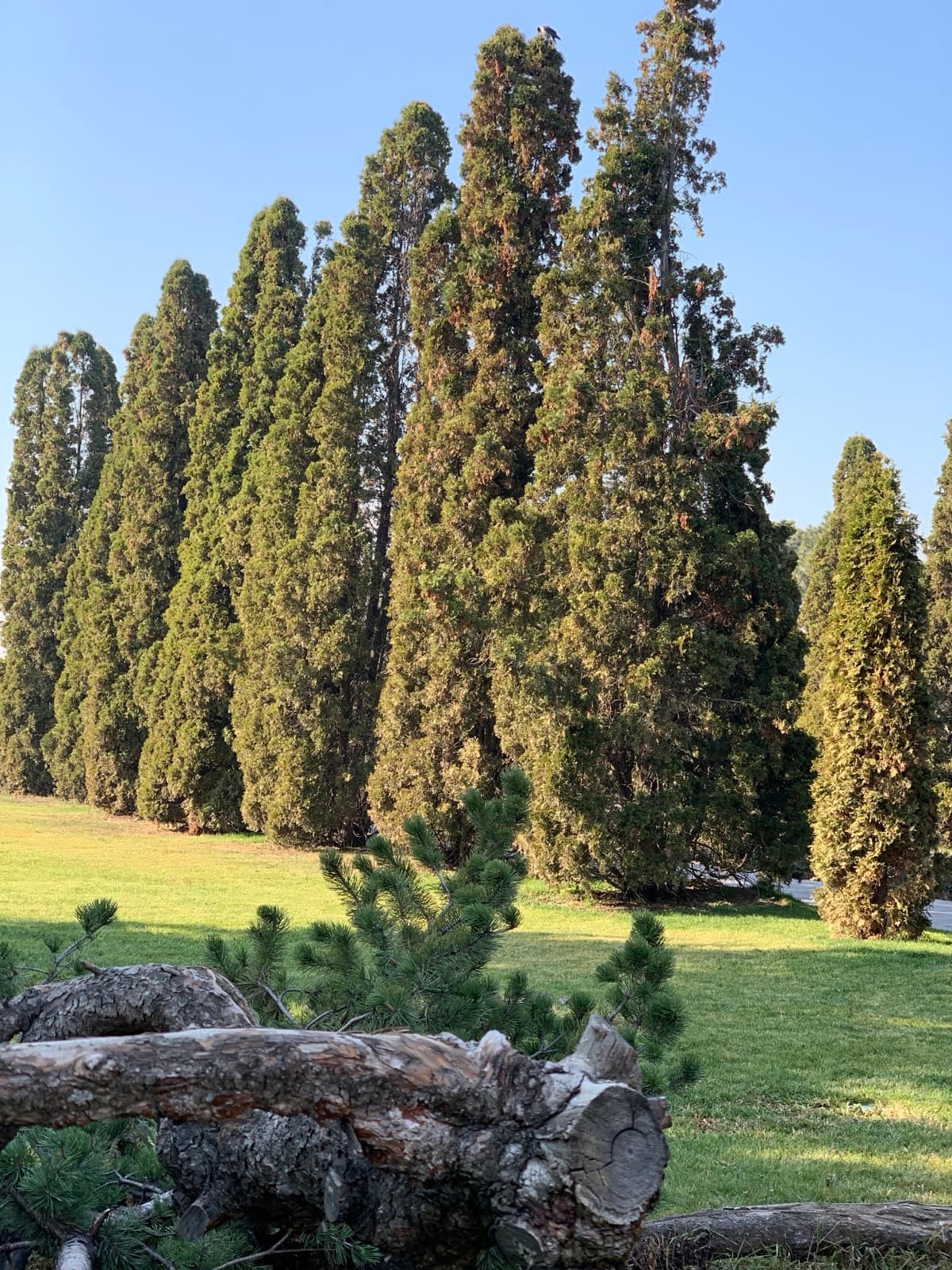 Botanic garden and Grand Park
