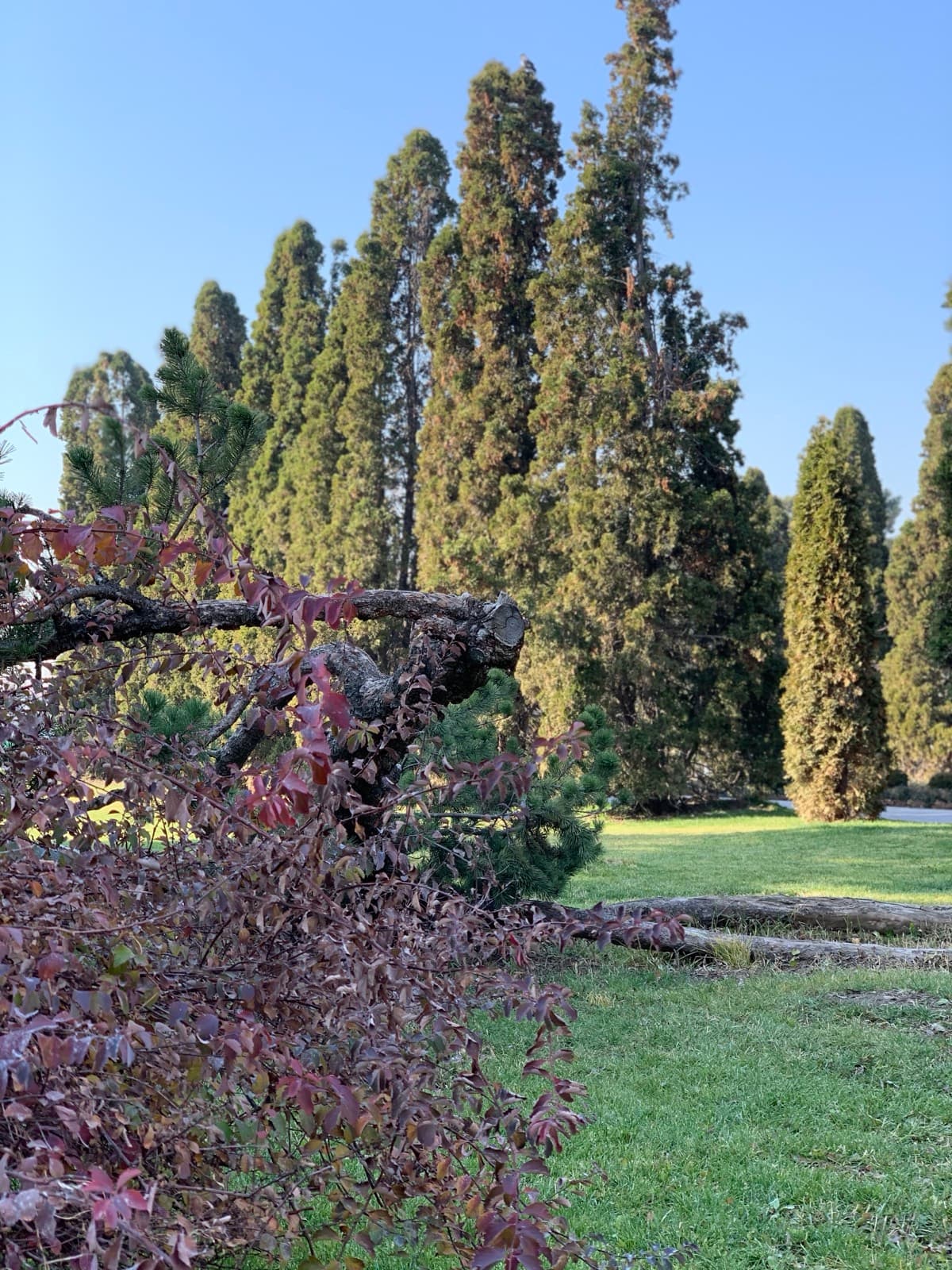 Botanic garden and Grand Park