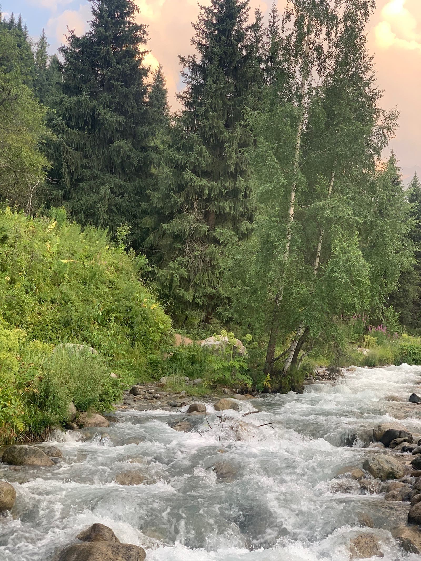 Kazakhstan Nature Tour